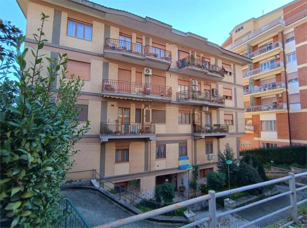 Appartamento in Affitto a Frosinone Via Delle Fosse Ardeatine