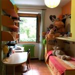 miniatura 8 id 50