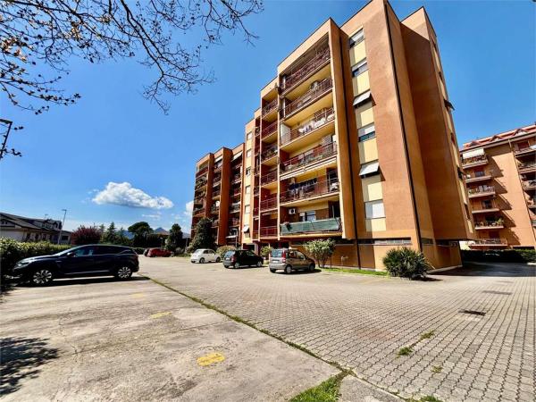 Appartamento in Vendita a Frosinone Viale Grecia