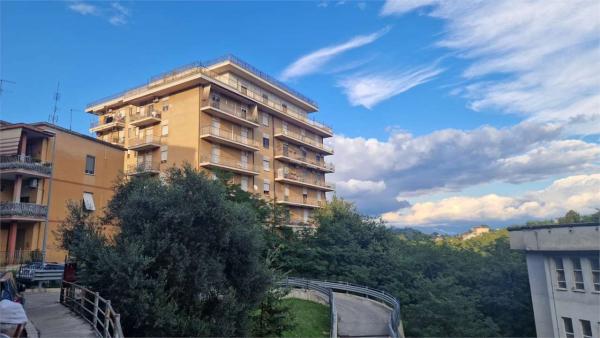 Appartamento in Affitto a Frosinone Via Fosse Ardeatine