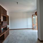 miniatura 6 id 21